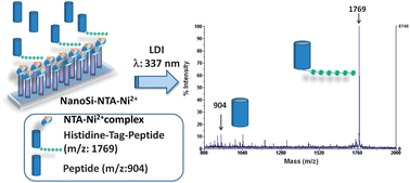 Graphical abstract: Affinity surface-assisted laser desorption/ionization mass spectrometry for peptide enrichment