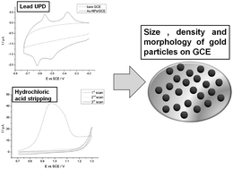 Graphical abstract: Facile in situ characterization of gold nanoparticles on electrode surfaces by electrochemical techniques: average size, number density and morphology determination
