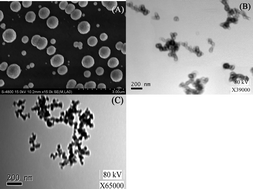 Graphical abstract: A novel amperometric immunosensor constructed with gold–platinum nanoparticles and horseradish peroxidase nanoparticles as well as nickel hexacyanoferrates nanoparticles
