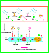 Graphical abstract: A fluorescence-based colorimetric droplet platform for biosensor application to the detection of α-fetoprotein