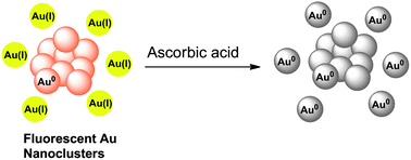 Graphical abstract: An ascorbic acid sensor based on protein-modified Au nanoclusters