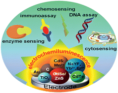 Graphical abstract: Electrogenerated chemiluminescence of nanomaterials for bioanalysis