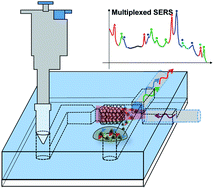 Graphical abstract: Multiplexed detection of aquaculture fungicides using a pump-free optofluidic SERS microsystem