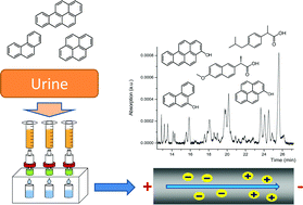 Graphical abstract: Solid-phase extraction, sample stacking and capillary zone electrophoresis for the analysis of urinary polycyclic aromatic hydrocarbon metabolites