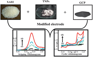 Graphical abstract: Adsorptive stripping voltammetric determination of imipramine, trimipramine and desipramine employing titanium dioxide nanoparticles and an Amberlite XAD-2 modified glassy carbon paste electrode