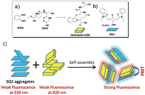 Graphical abstract: Near-infrared fluorescent detection of glutathione via reaction-promoted assembly of squaraine-analyte adducts
