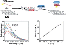 Graphical abstract: A highly sensitive and selective aptasensor based on graphene oxide fluorescence resonance energy transfer for the rapid determination of oncoprotein PDGF-BB