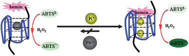 Graphical abstract: A novel colorimetric potassium sensor based on the substitution of lead from G-quadruplex