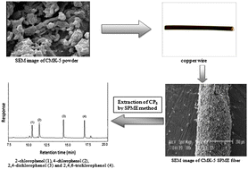 Graphical abstract: Novel fiber coated with nanoporous carbons for headspace solid-phase microextraction of chlorophenols from aqueous media
