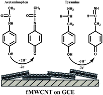 Graphical abstract: Application of a glassy carbon electrode modified with functionalized multi-walled carbon nanotubes as a sensor device for simultaneous determination of acetaminophen and tyramine