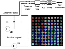 Graphical abstract: Screening analysis of seston from a domestic wastewater treatment plant using digital images