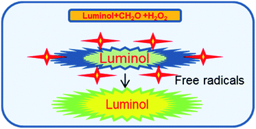 Graphical abstract: Detection of formaldehyde in food samples by enhanced chemiluminescence