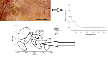 Graphical abstract: Multivariate analyses of UV-Vis absorption spectral data from cachaça wood extracts: a model to classify aged Brazilian cachaças according to the wood species used
