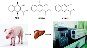Graphical abstract: Analysis of mequindox and its two metabolites in swine liver by UPLC-MS/MS