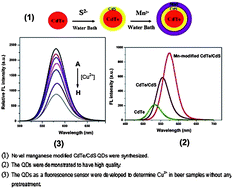 Graphical abstract: Manganese modified CdTe/CdS quantum dots as a highly selective probe to detect trace copper element in beer samples