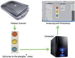 Graphical abstract: A reliable and budget-friendly, solution-based analysis of multiple analytes of boiler water based on reflection scanometry