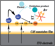 Graphical abstract: CdS nanotubes thin film for electrochemiluminescence analysis of phenolic compounds