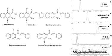 Graphical abstract: Determination of quinocetone and its two major metabolites in chicken liver and muscle tissues by liquid chromatography-tandem mass spectrometry