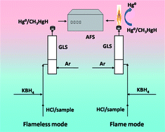 Graphical abstract: Determination of methylmercury and inorganic mercury by volatile species generation-flameless/flame atomization-atomic fluorescence spectrometry without chromatographic separation