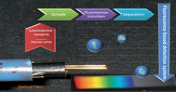 Graphical abstract: A fluorescence-based optical fiber analyzer for catecholamine determination