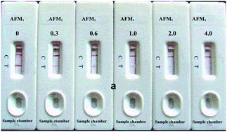 Graphical abstract: Extract-free immunochromatographic assay for on-site tests of aflatoxin M1 in milk