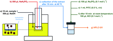 Graphical abstract: Application of gas-diffusion microextraction for high-performance liquid chromatographic analysis of aliphatic amines in fermented beverages