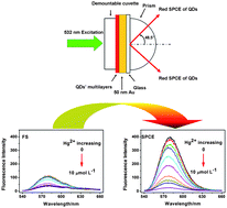 Graphical abstract: Directional surface plasmon-coupled emission of CdTe quantum dots and its application in Hg(ii) sensing