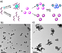 Graphical abstract: A highly sensitive resonance scattering based sensor using unmodified gold nanoparticles for daunomycin detection in aqueous solution