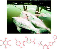 Graphical abstract: Simultaneous determination of pentachlorophenol, niclosamide and fenpropathrin in fishpond water using an LC-MS/MS method for forensic investigation