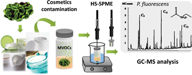 Graphical abstract: A novel outlook on detecting microbial contamination in cosmetic products: analysis of biomarker volatile compounds by solid-phase microextraction gas chromatography-mass spectrometry