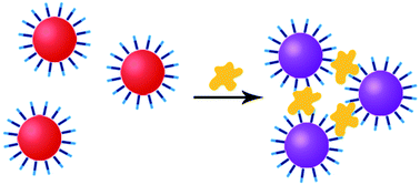 Graphical abstract: Sensitive colorimetric detection of lysozyme in human serum using peptide-capped gold nanoparticles