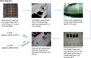 Graphical abstract: Detection of the organophosphorus nerve agent VX and its hydrolysis products in white mustard plants grown in contaminated soil
