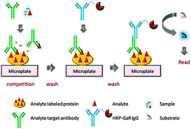 Graphical abstract: A sensitive and specific enzyme immunoassay for detecting tartrazine in human urinary samples