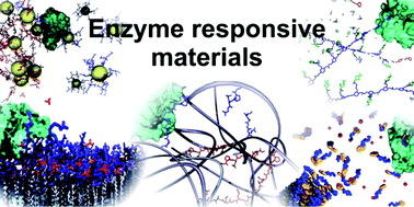Graphical abstract: Enzyme responsive materials: design strategies and future developments