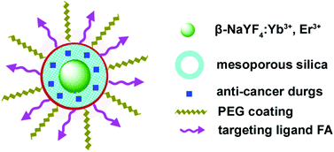 Graphical abstract: A facile fabrication of upconversion luminescent and mesoporous core–shell structured β-NaYF4:Yb3+, Er3+@mSiO2 nanocomposite spheres for anti-cancer drug delivery and cell imaging