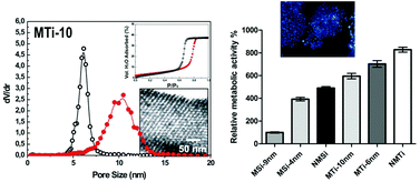 Graphical abstract: Controlled adhesion and proliferation of a human osteoblastic cell line by tuning the nanoporosity of titania and silica coatings