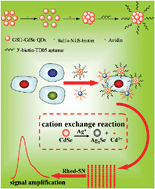 Graphical abstract: Cation exchange in aptamer-conjugated CdSe nanoclusters: a novel fluorescence signal amplification for cancer cell detection