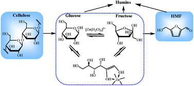 Graphical abstract: Conversion of carbohydrates into 5-hydroxymethylfurfural catalyzed by ZnCl2 in water