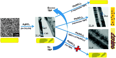 Graphical abstract: 1D CdS/PbS heterostructured nanowire synthesis using cation exchange