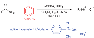 Graphical abstract: A catalytic version of hypervalent aryl-λ3-iodane-induced Hofmann rearrangement of primary carboxamides: iodobenzene as an organocatalyst and m-chloroperbenzoic acid as a terminal oxidant