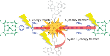 Graphical abstract: Organometallic multiads of zinc(ii) porphyrins with interchromophoric cooperativity in S1 and T1 energy transfers