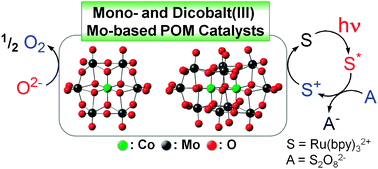 Graphical abstract: Visible light-induced water oxidation catalyzed by molybdenum-based polyoxometalates with mono- and dicobalt(iii) cores as oxygen-evolving centers