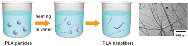 Graphical abstract: Fabrication of nanofibers through a unique morphological transformation of poly(lactic acid) particles in water