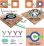 Graphical abstract: Electrochemical immunoassay on a 3D microfluidic paper-based device