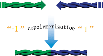 Graphical abstract: Helical heterojunctions originating from helical inversion of conducting polymer nanofibers