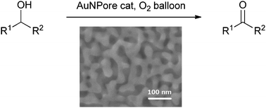 Graphical abstract: Aerobic oxidation of alcohols in the liquid phase with nanoporous gold catalysts