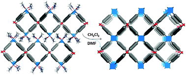 Graphical abstract: Solvent-induced single-crystal to single-crystal transformation of a 2D coordination network to a 3D metal–organic framework greatly enhances porosity and hydrogen uptake