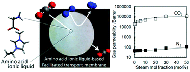Graphical abstract: Amino acid ionic liquid-based facilitated transport membranes for CO2 separation