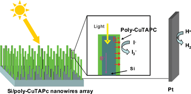 Graphical abstract: Si/poly-CuTAPC coaxial core–shell nanowire array as enhanced visible-light photocatalyst for hydrogen production