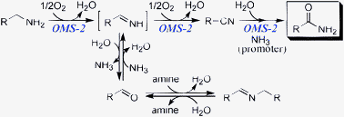 Graphical abstract: Manganese oxide-catalyzed transformation of primary amines to primary amides through the sequence of oxidative dehydrogenation and successive hydration